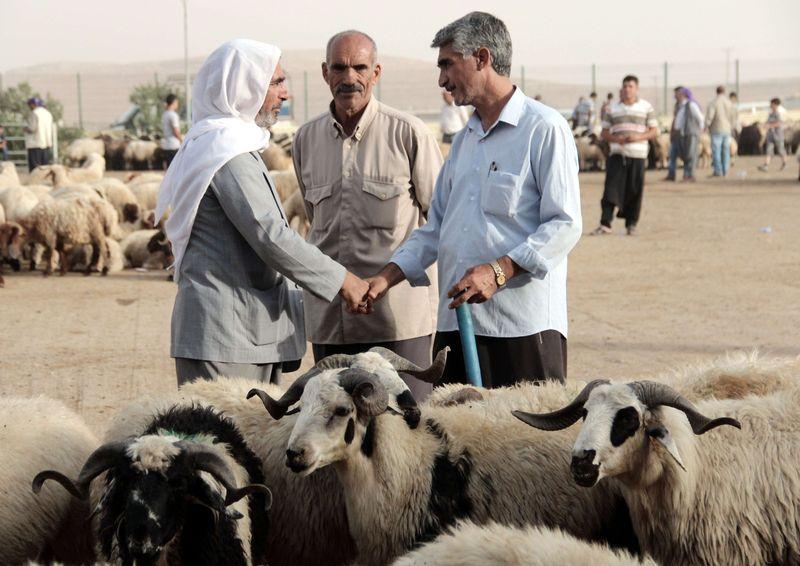 Şanlıurfa'da Kurban Bayramı hareketliliği başladı