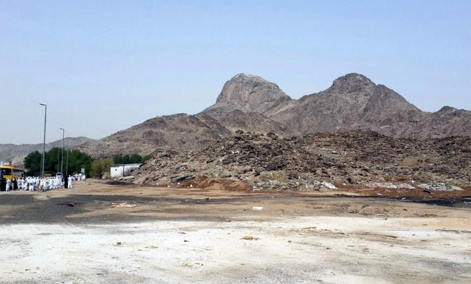 Türk hacı adayı hırsız maymunu kovalarken öldü