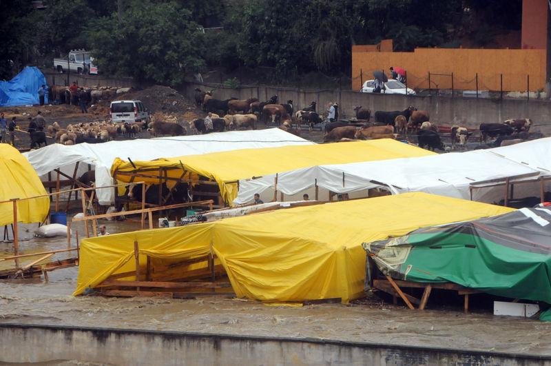İstanbul'daki yağmurda kurbanlıkları zor kurtardılar