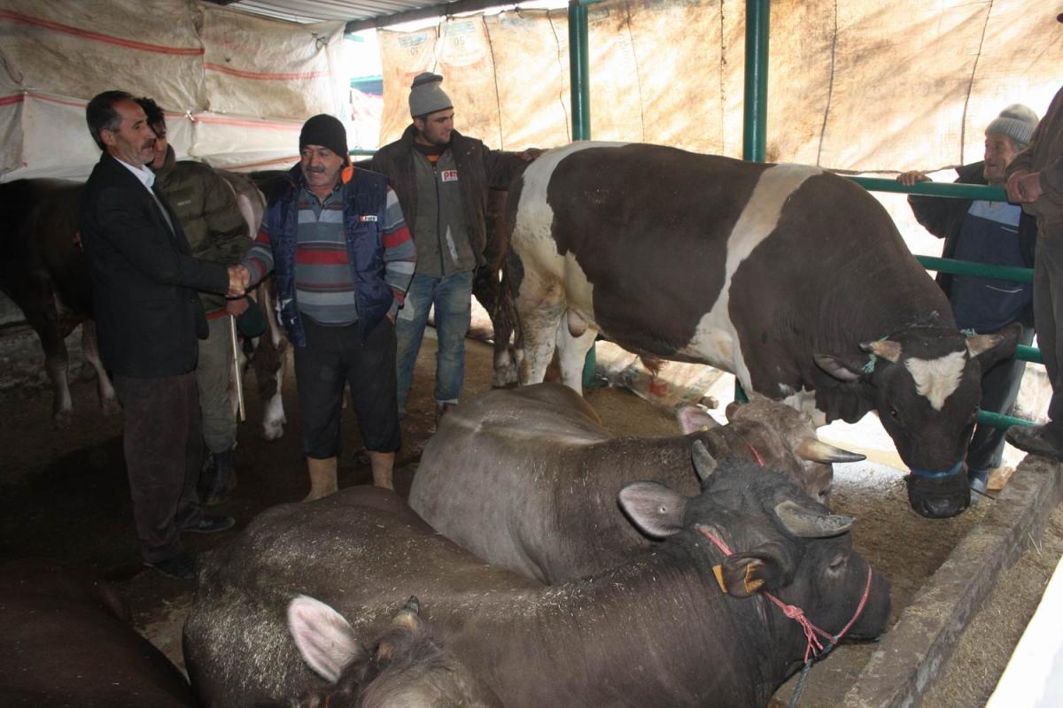 Terör kurbanlık fiyatlarını arttırdı