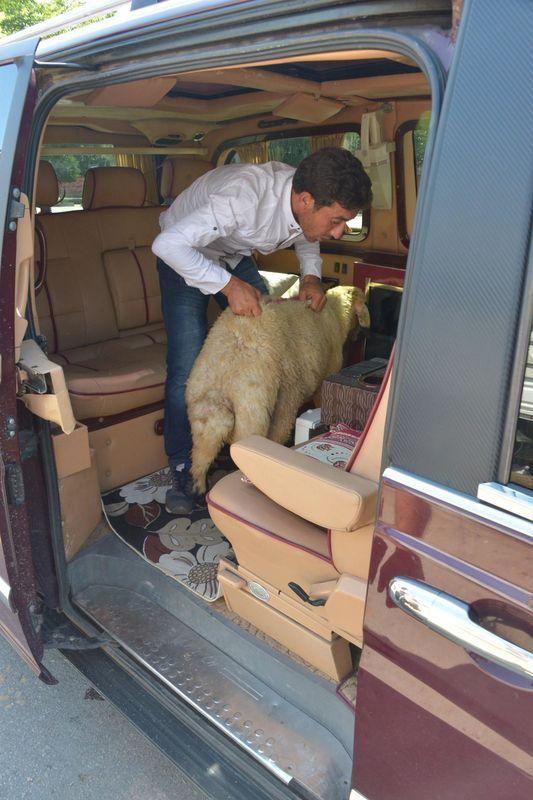 Adanalı kurbanını lüks minibüsle taşıdı