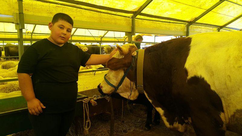 Kurban pazarının en küçük patronu