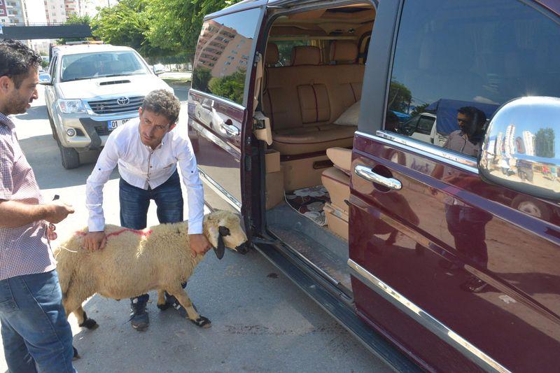 Adanalı kurbanını lüks minibüsle taşıdı