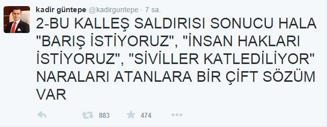 Beytüşşebap Kaymakamı'ndan HDP'li vekile sert cevap
