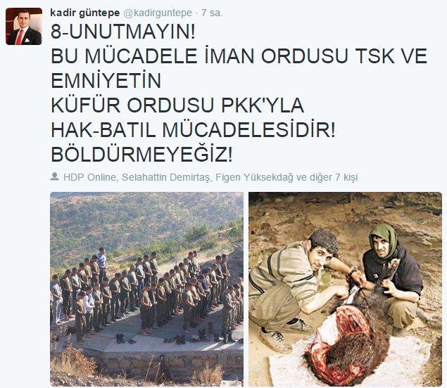 Beytüşşebap Kaymakamı'ndan HDP'li vekile sert cevap