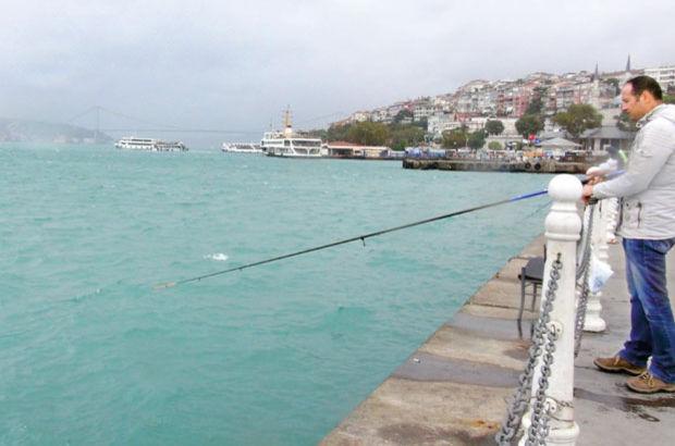 İstanbul Boğazı yeşile döndü