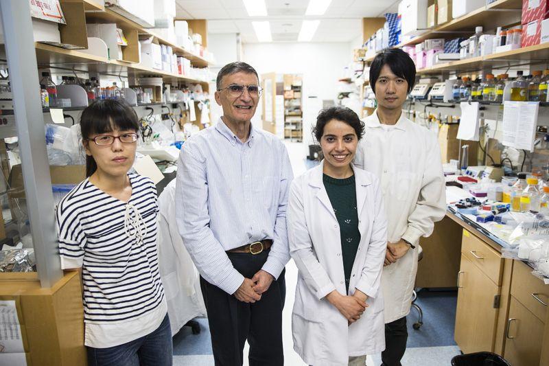 Nobel Ödüllü bilim adamı: Ben Türk'üm o kadar