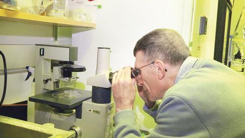 Aziz Sancar: Gençler benim yaptığımı yapmasın