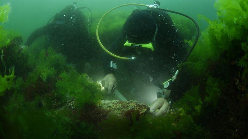 İstanbul'un kayıp adası Vordonisi gün yüzüne çıkarılıyor