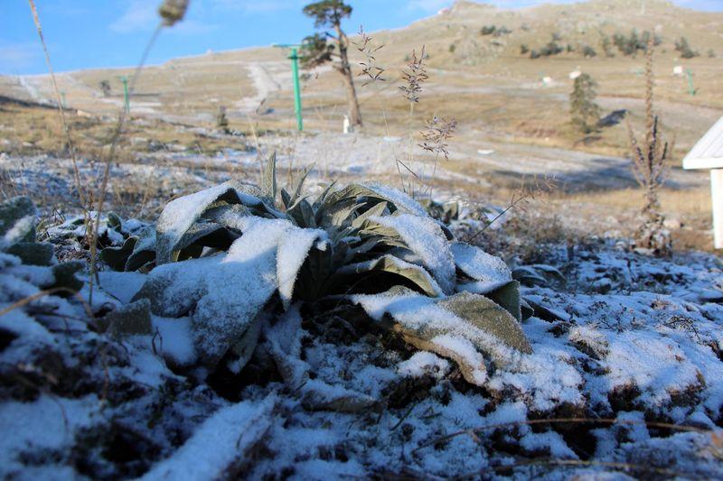 Bolu Kartalkaya'ya ilk kar düştü