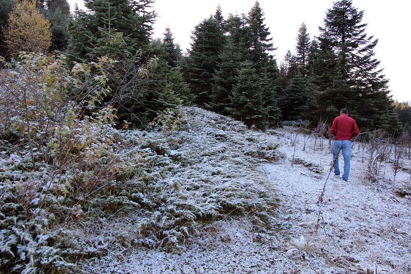 Bolu Kartalkaya'ya ilk kar düştü