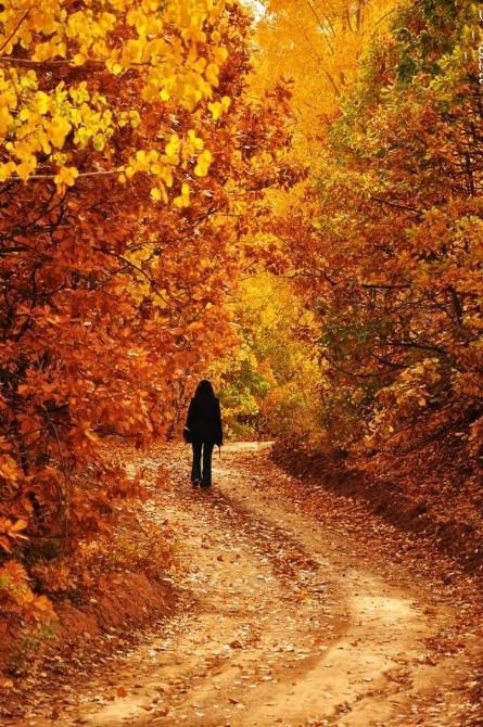 Tunceli muhteşem doğasıyla büyülüyor