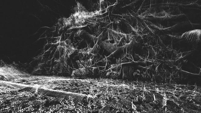 Canlıların gözünden doğaya bakış