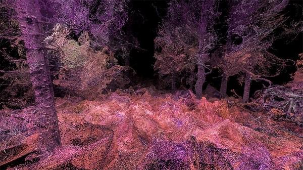 Canlıların gözünden doğaya bakış