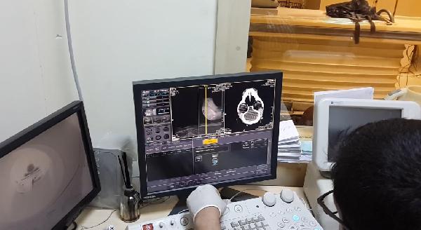 Avcıların vurduğu vaşak tedavide