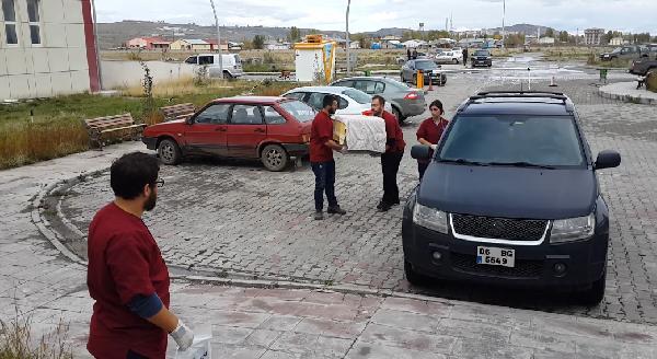 Avcıların vurduğu vaşak tedavide