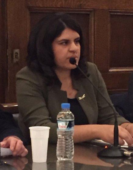 Dilek Öcalan'dan davanın ertelenmesine tepki