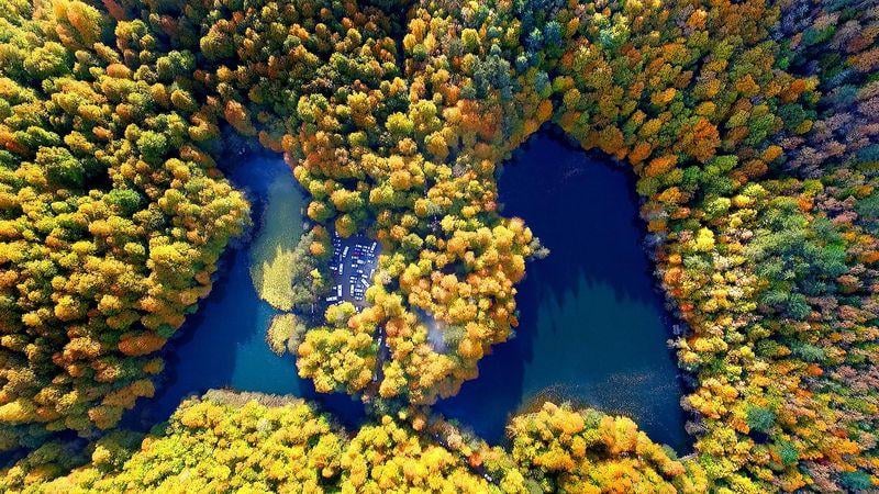 Bolu Yedigöller'de renk cümbüşü