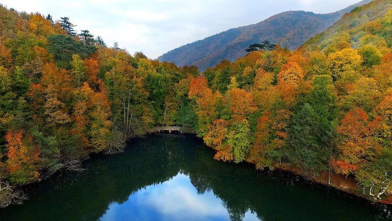 Bolu Yedigöller'de renk cümbüşü