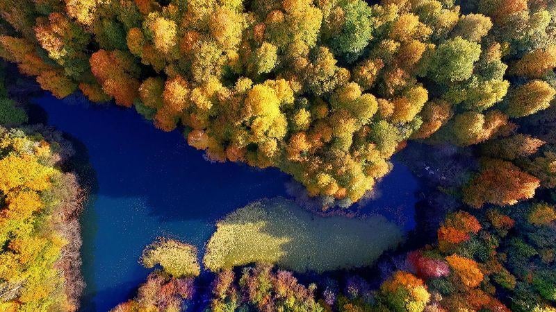 Bolu Yedigöller'de renk cümbüşü