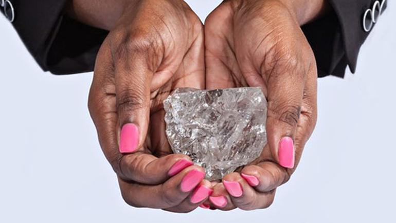 21. yüzyılın en büyük elması bulundu