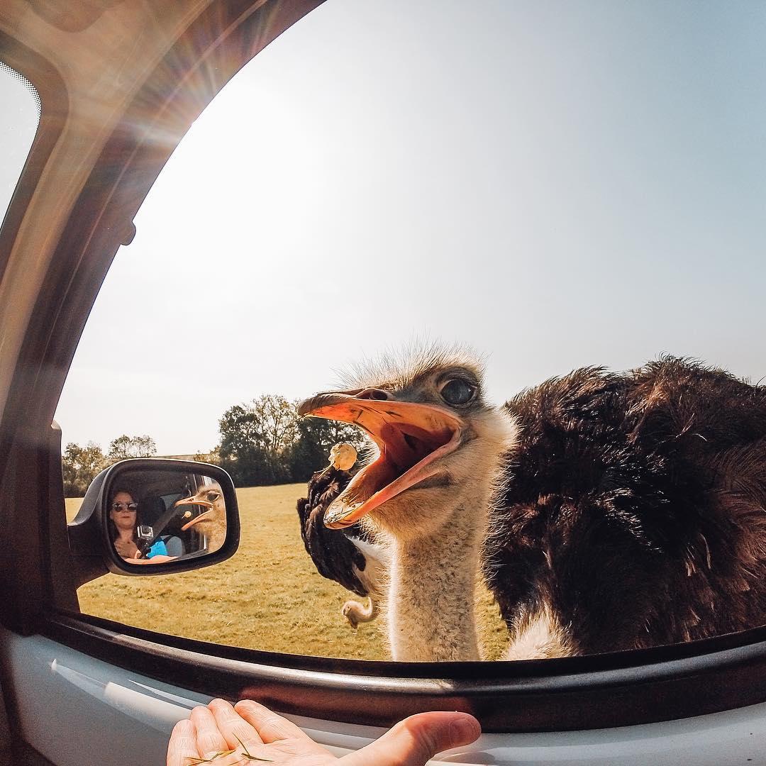 En ilginç selfieler