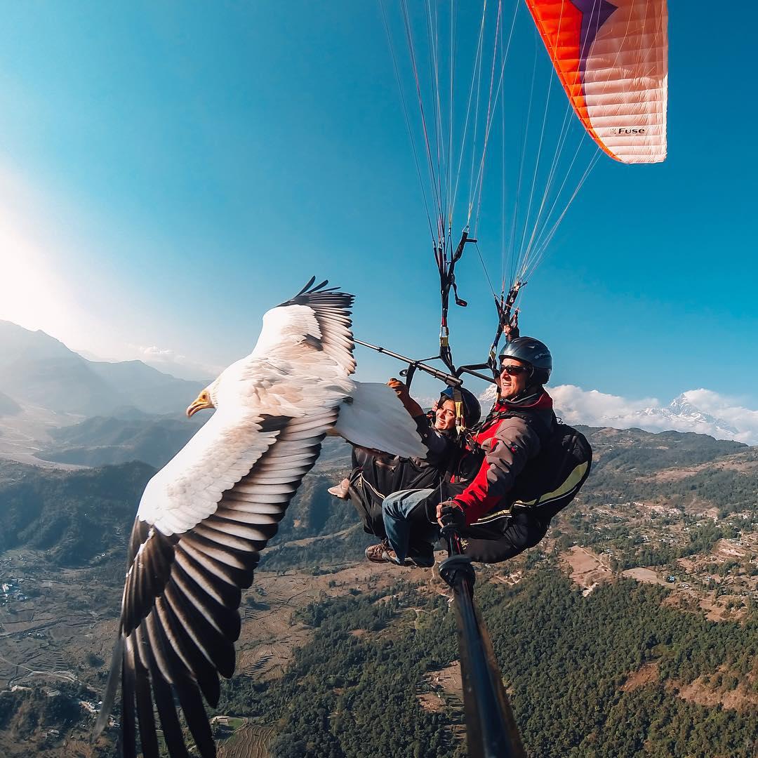 En ilginç selfieler