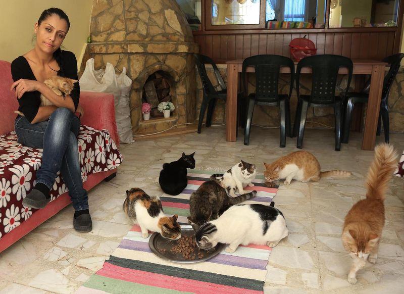 Mersin'de kediye tecavüz edenlere afişli protesto