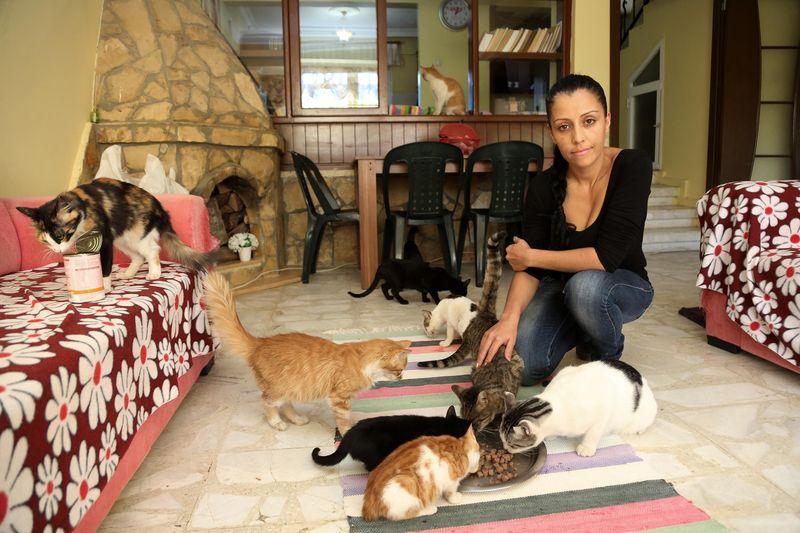 Mersin'de kediye tecavüz edenlere afişli protesto