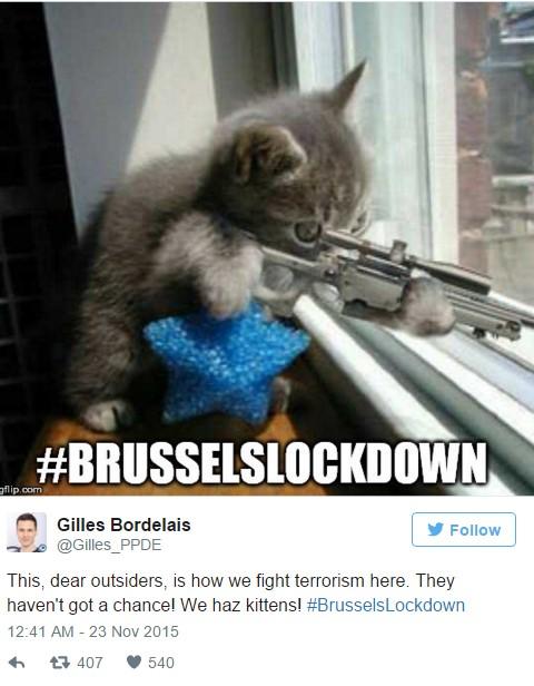 Belçika'da polis haber yok dedi kedi fotoları paylaşıldı