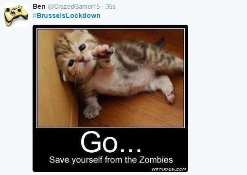 Belçika'da polis haber yok dedi kedi fotoları paylaşıldı