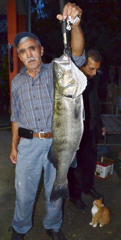 Sinop'ta 9 kiloluk levrek yakalandı