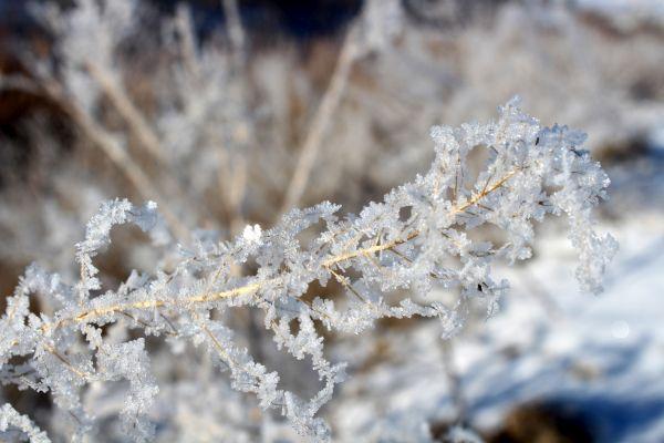 Erzurum'da soğuktan gölet ve dereler dondu