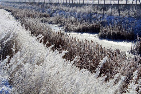 Erzurum'da soğuktan gölet ve dereler dondu