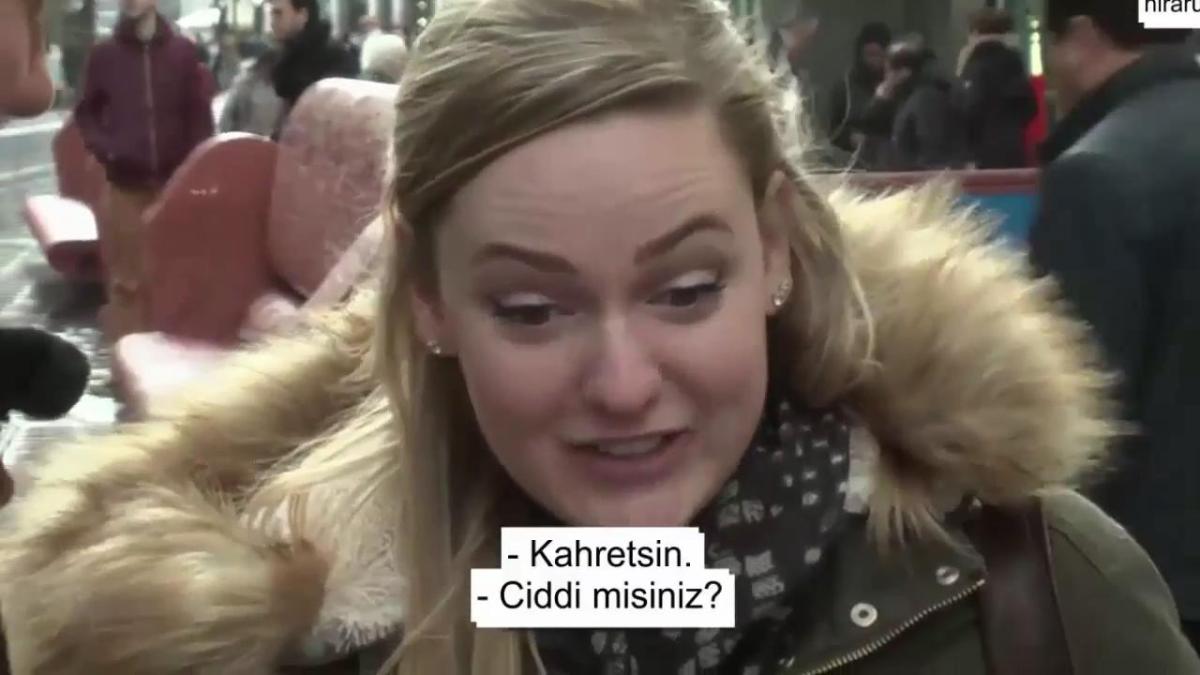 Hollanda'da Kur'an-ı Kerim zannedilen İncil eleştirildi