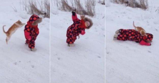 Kedinin küçük çocukla oyunu İZLE