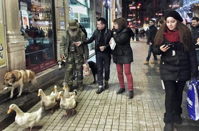İstiklal Caddesi'nde ördek sürüsü