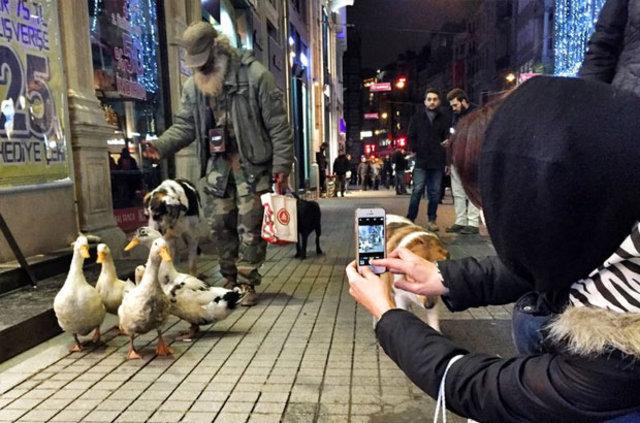 İstiklal Caddesi'nde ördek sürüsü