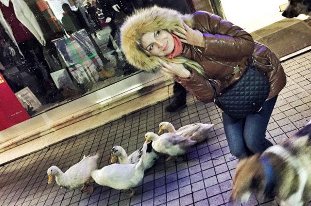 İstiklal Caddesi'nde ördek sürüsü