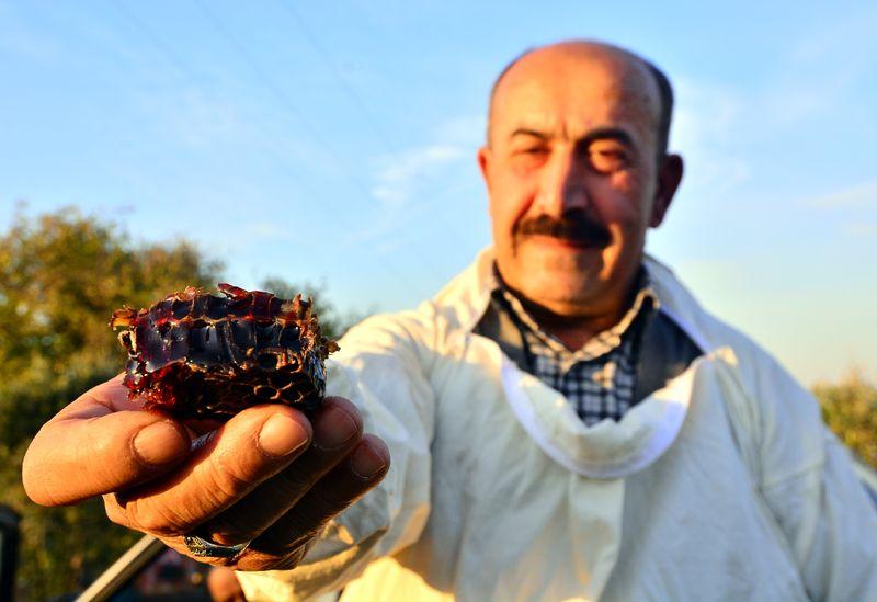 Osmaniye'de kovandan kırmızı bal çıktı