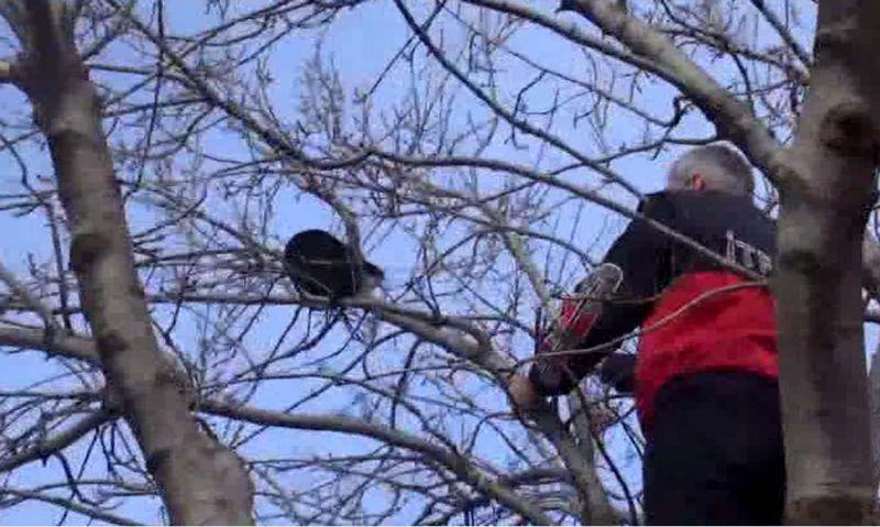 Türk işi kedi kurtarma operasyonu İZLE