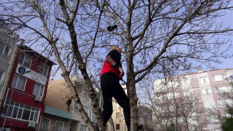 Türk işi kedi kurtarma operasyonu İZLE