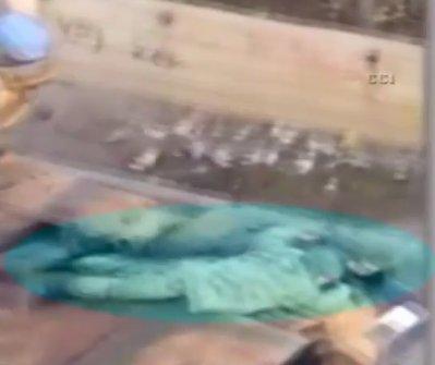 Asker yaralı polise siper oldu İZLE