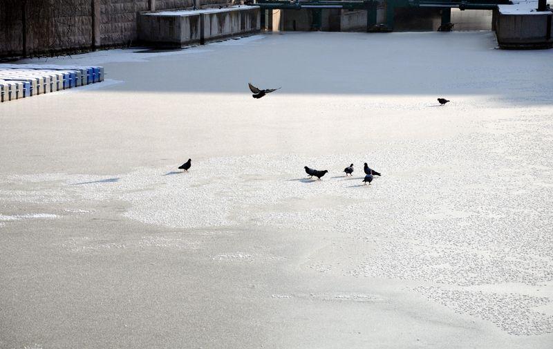 Porsuk Çayı buz tuttu