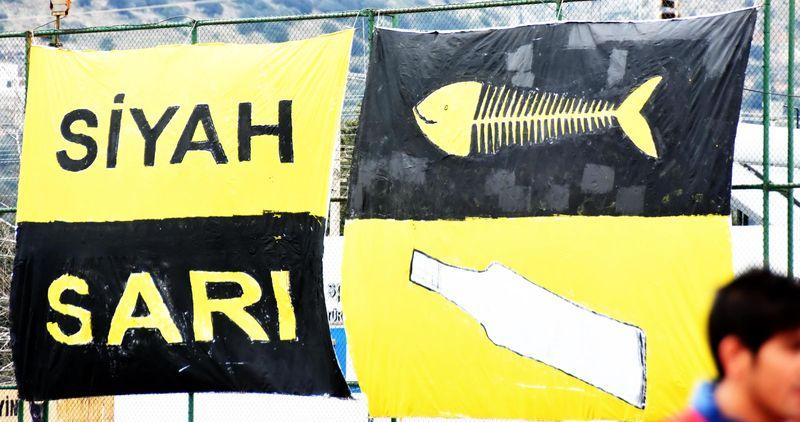 Nejat İşler sevinçten kafasını demire vurdu