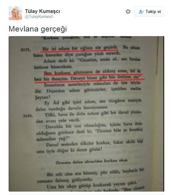 Kedicik Tülay Kumaşçı Mevlana'ya hakaret etti