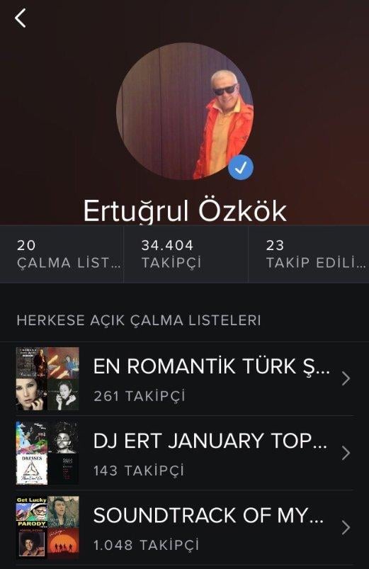 Özkök'ün seçimi: Grup Gripin - Muhtemel Aşk