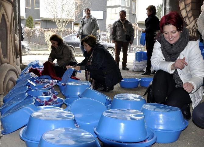 Çamaşır leğenleri kedilere yuva oldu
