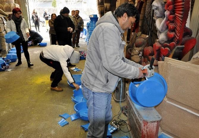 Çamaşır leğenleri kedilere yuva oldu