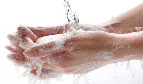 Domuz gribinden korunmanın 8 yolu